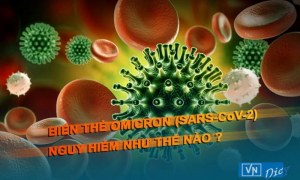 Biến thể Omicron (SARS-CoV-2) nguy hiểm như thế nào ?