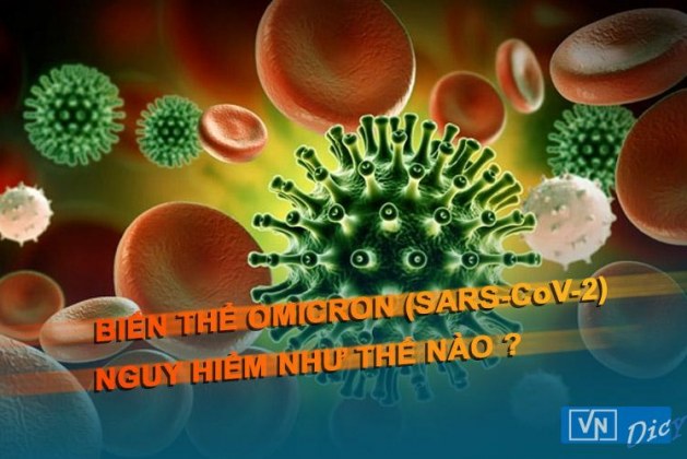 Biến thể Omicron (SARS-CoV-2) nguy hiểm như thế nào ?