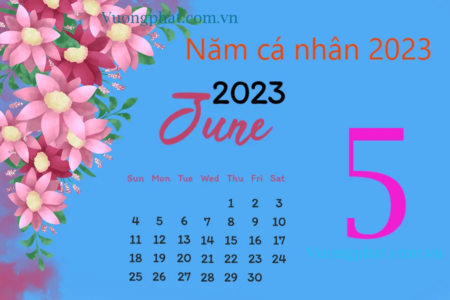 Số 5- Năm cá nhân 2023