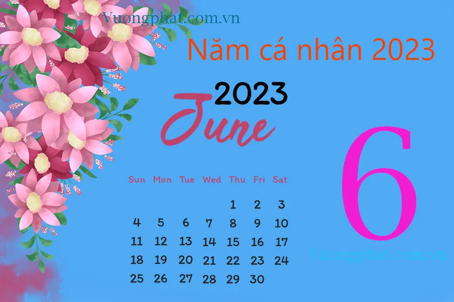 Số 6 - Năm cá nhân 2023