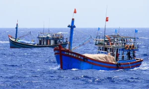 Tàu cá Việt Nam hoạt động trên ngư trường Hoàng Sa. Ảnh: Vnexpress.net